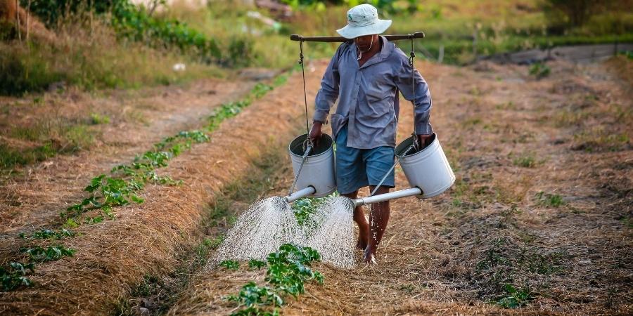 requisitos incapacidad permanente para trabajadores del sector agrario